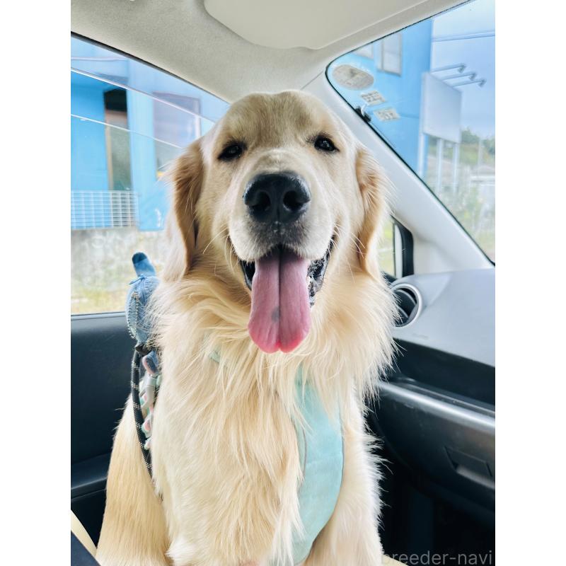 ポテトくん1枚目