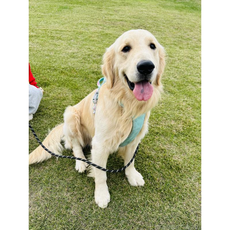 ポテトくん1枚目