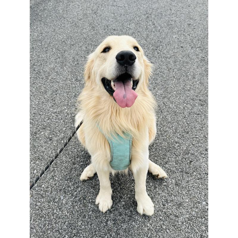 ポテトくん1枚目