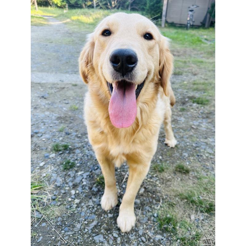 ポフちゃん1枚目