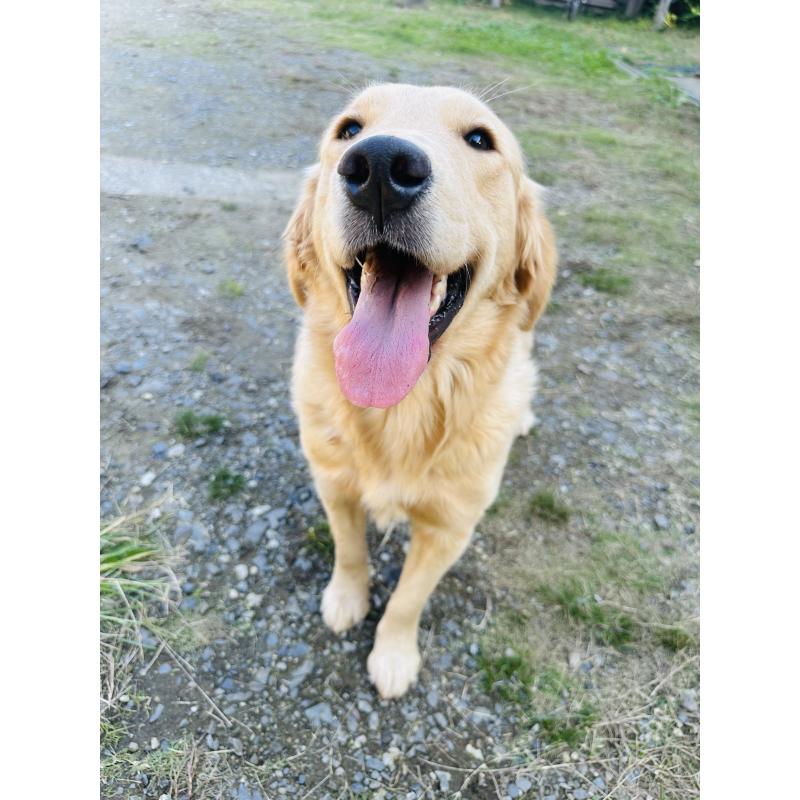 ポフちゃん1枚目