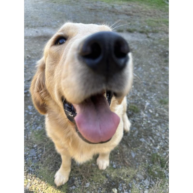 ポフちゃん1枚目