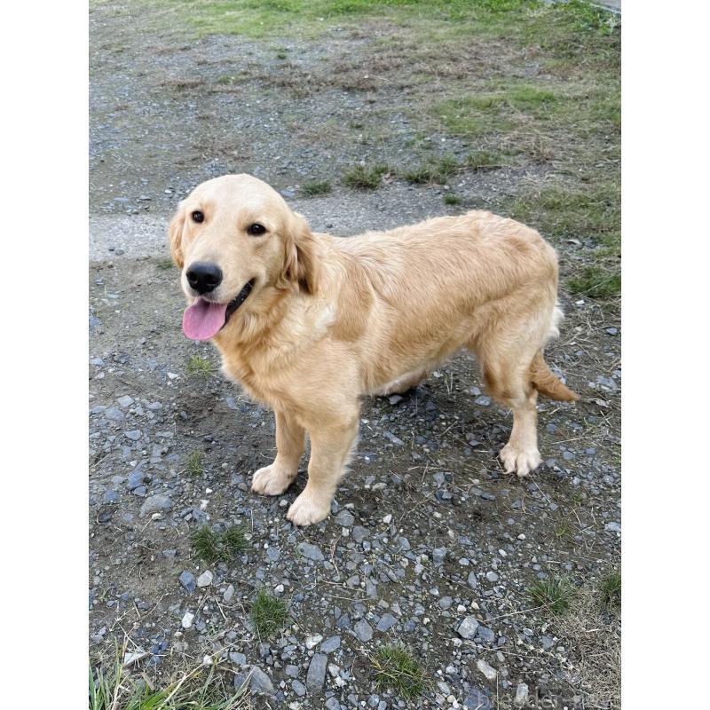 ポフちゃん1枚目