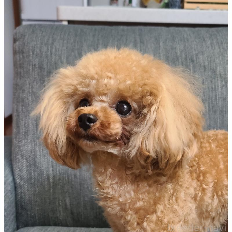 きらくんくん1枚目