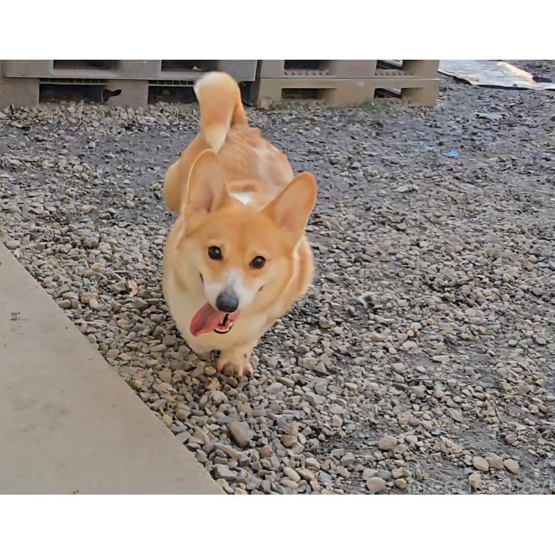 リリエルちゃん1枚目