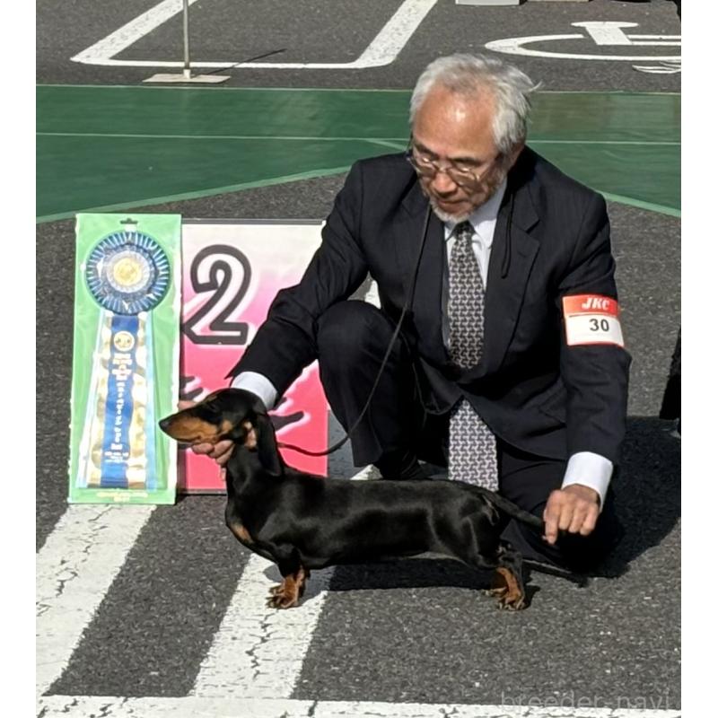 萌葱（萌葱）ちゃん1枚目