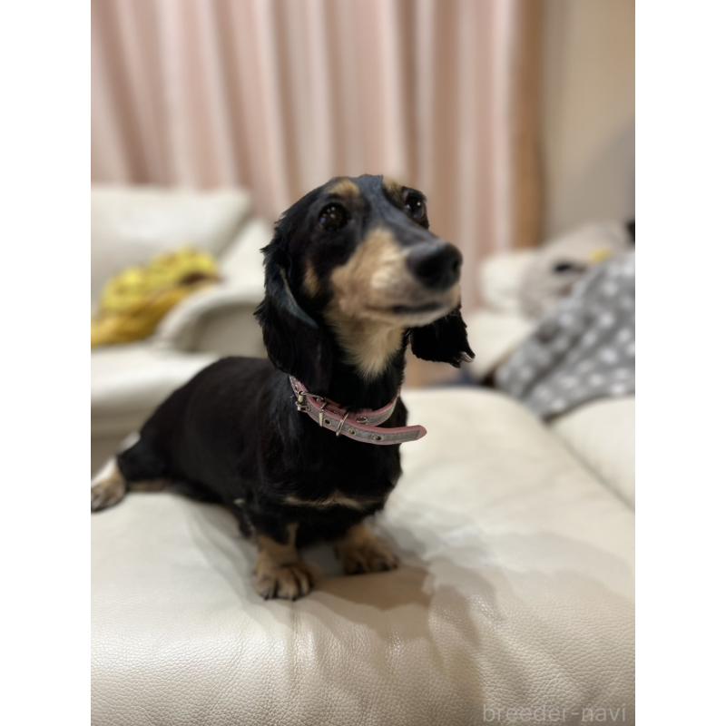 ママちゃん1枚目