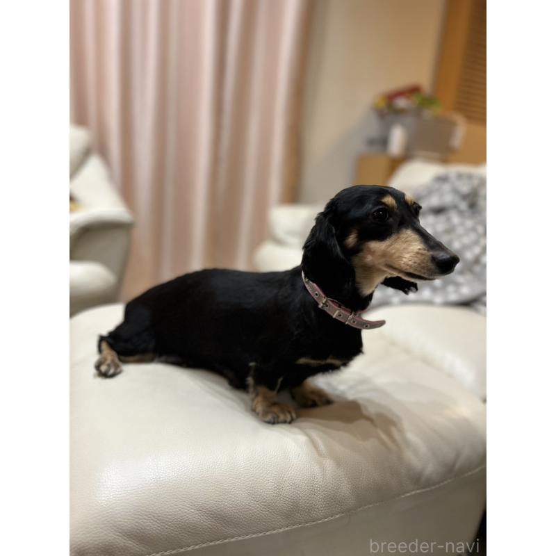 ママちゃん1枚目