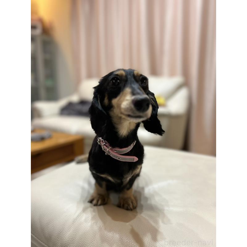 ママちゃん1枚目