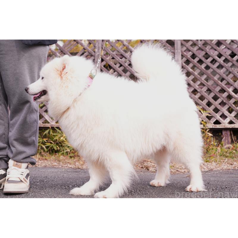 Findaちゃん1枚目