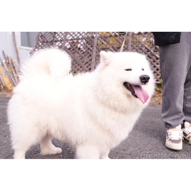 Findaちゃん1枚目