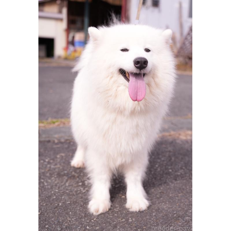 Findaちゃん1枚目