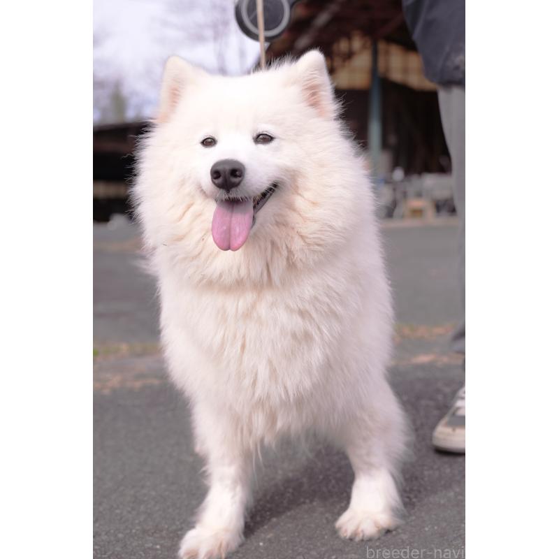 Findaちゃん1枚目