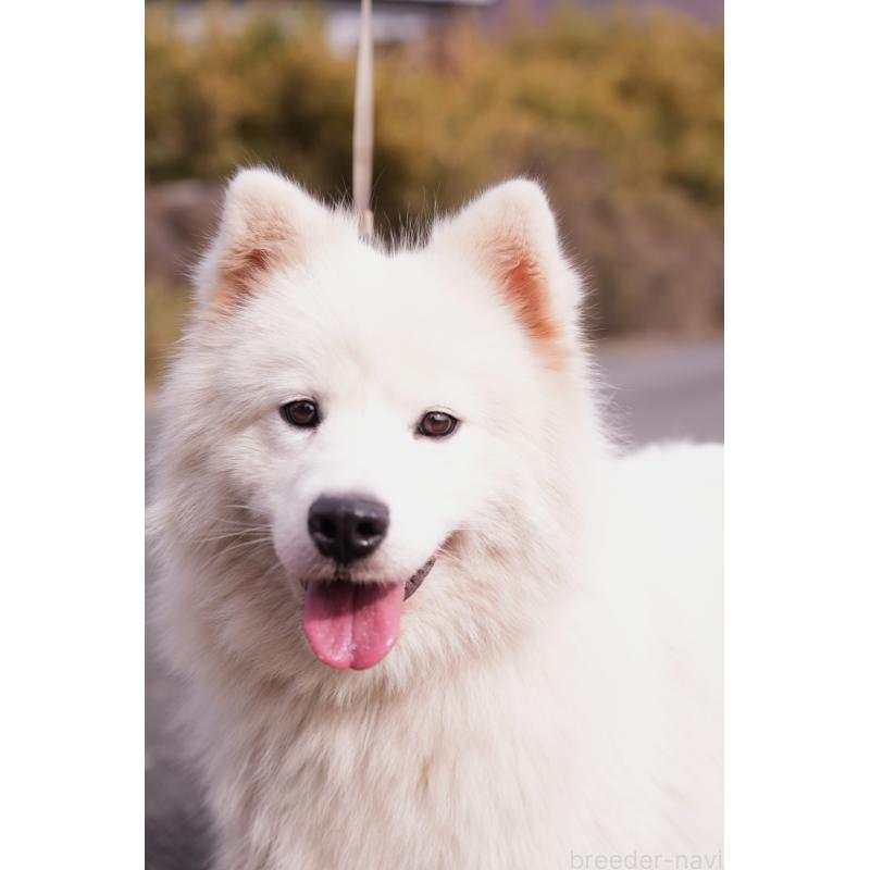 Madoちゃん1枚目