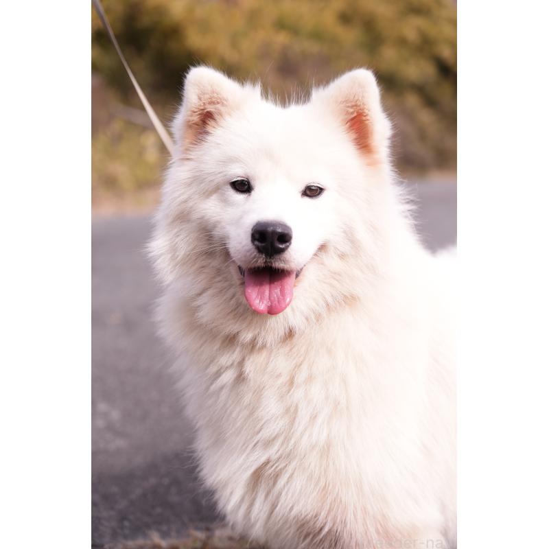 Madoちゃん1枚目