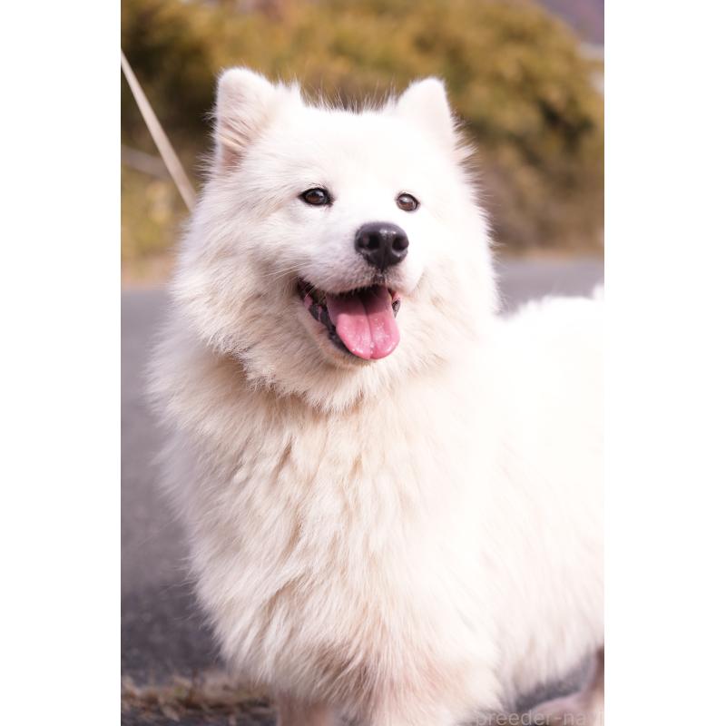 Madoちゃん1枚目