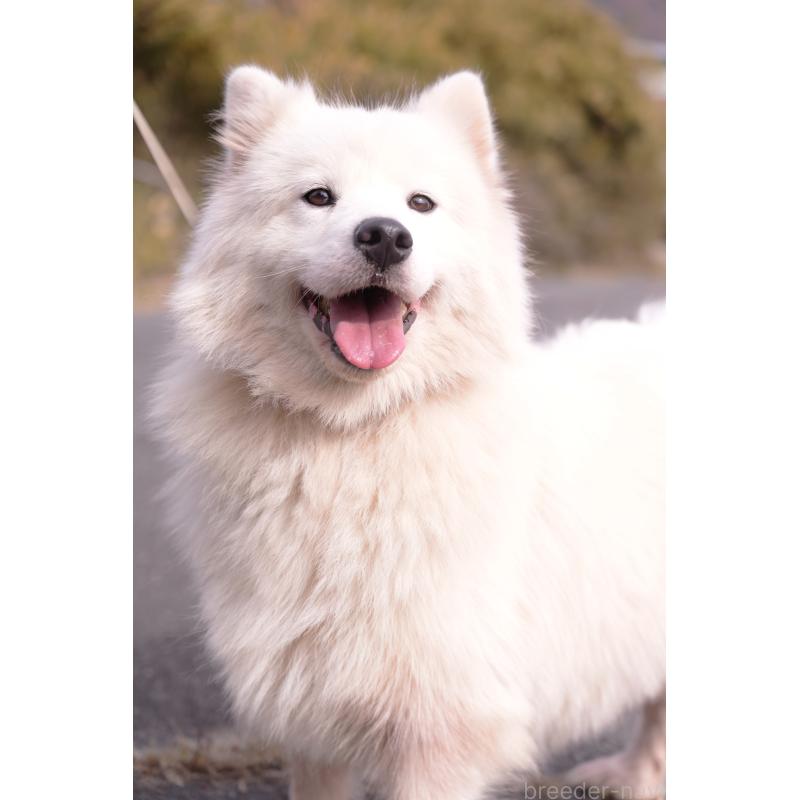 Madoちゃん1枚目