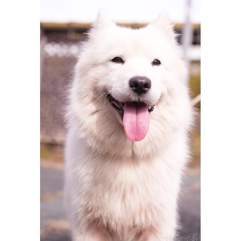 Lucasちゃん1枚目