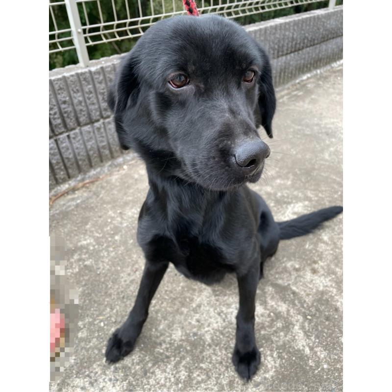 ジャックくん1枚目