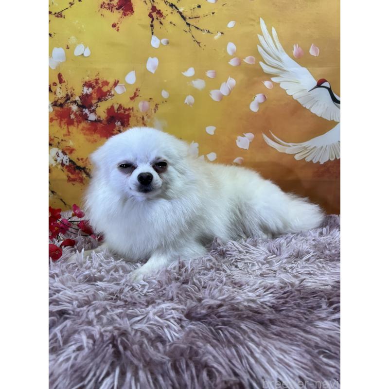 ゴハンちゃん1枚目