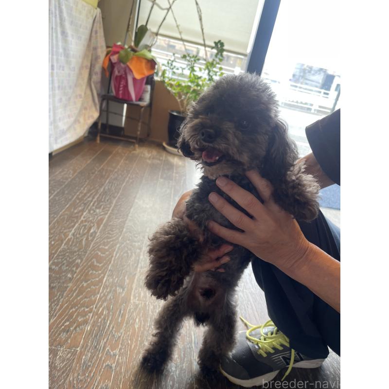 ドンくんくん1枚目