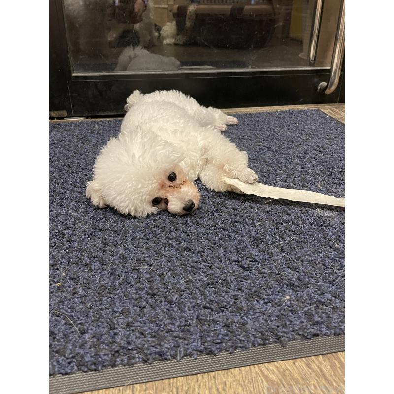 モニカちゃん1枚目