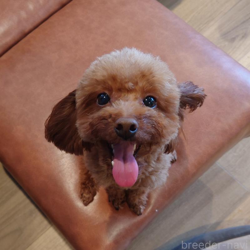 おーちゃん1枚目