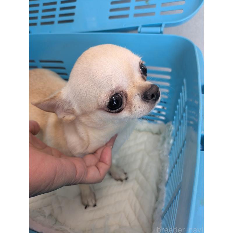 ルンルンちゃん1枚目