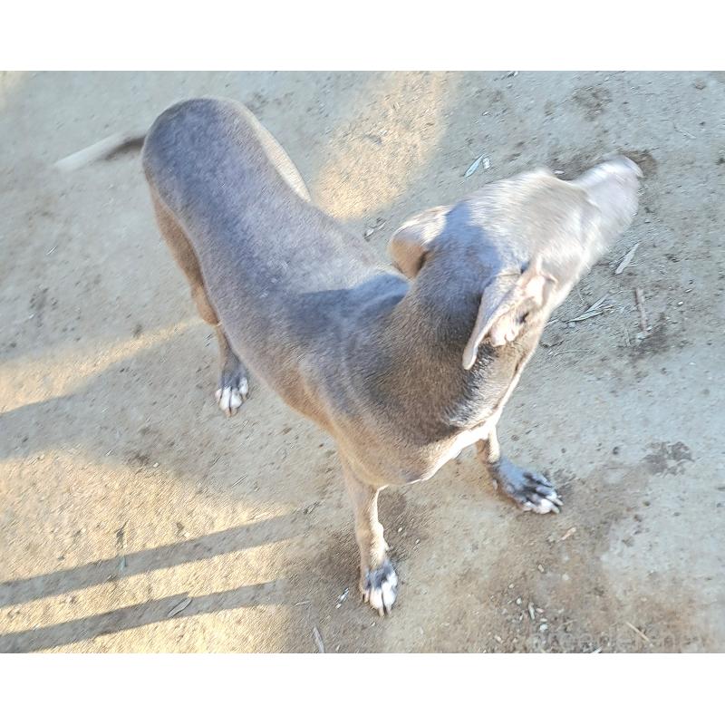 チカちゃん1枚目