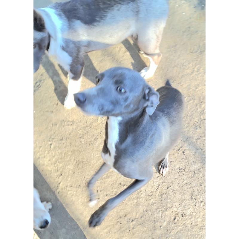 チカちゃん1枚目