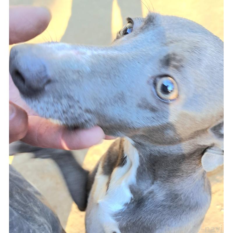 チカちゃん1枚目