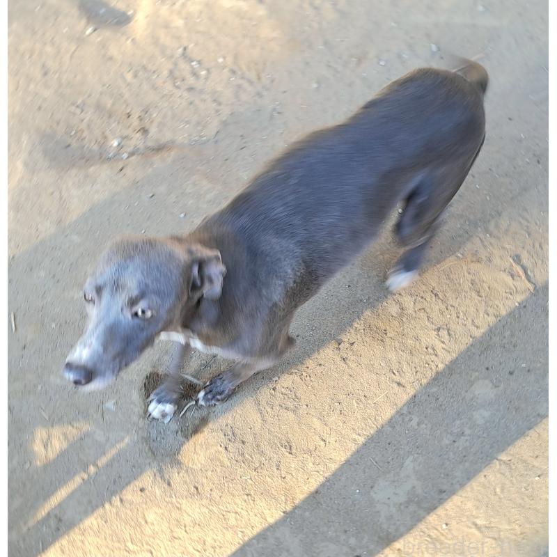 チカちゃん1枚目