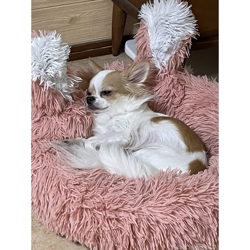 ちなつちゃん1枚目