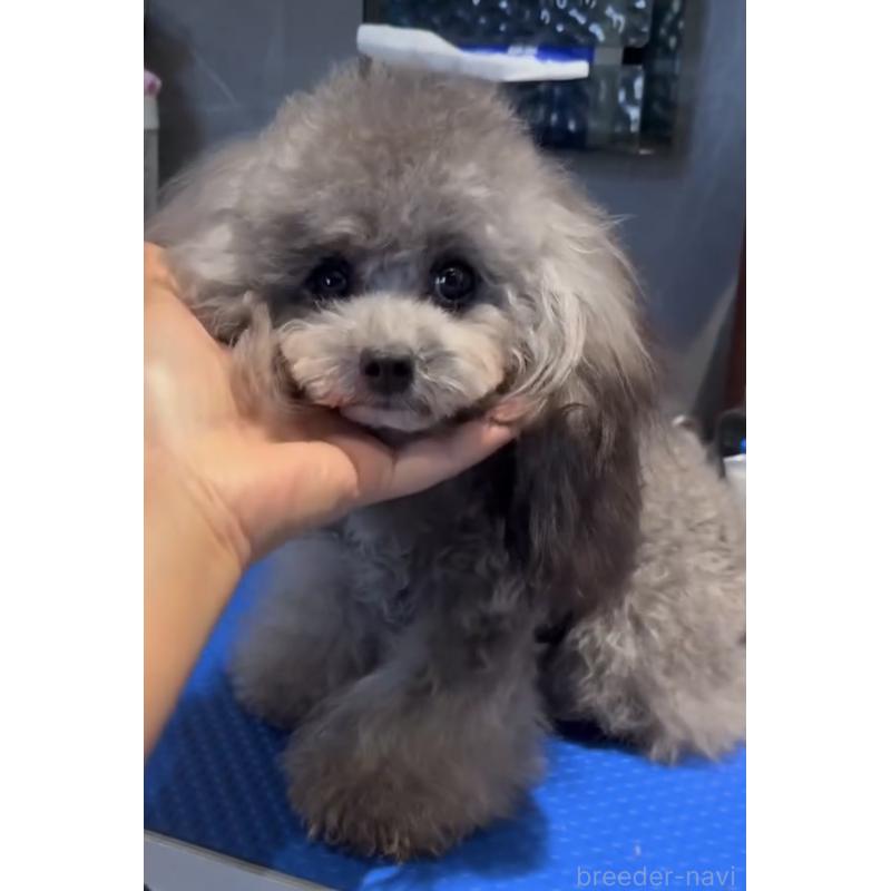 Qちゃんちゃん1枚目