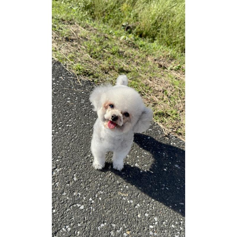 悠悠君くん1枚目