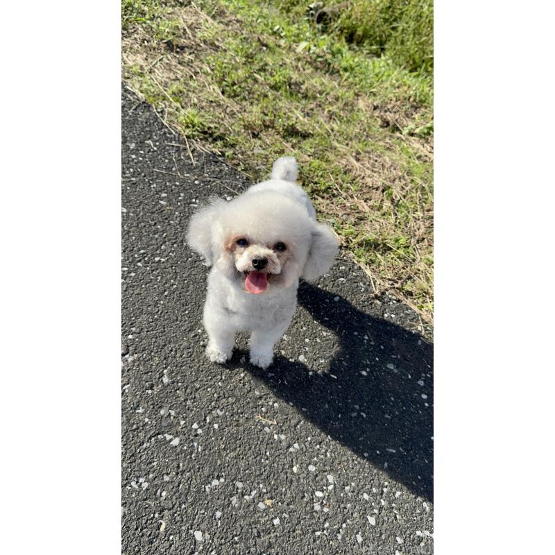 悠悠君くん1枚目