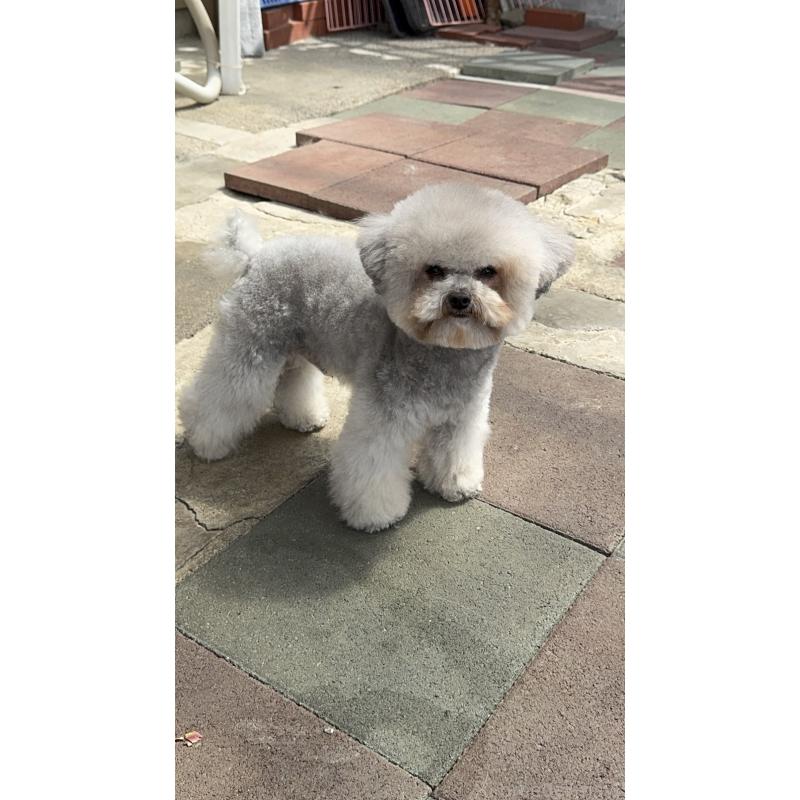 悠悠君くん1枚目