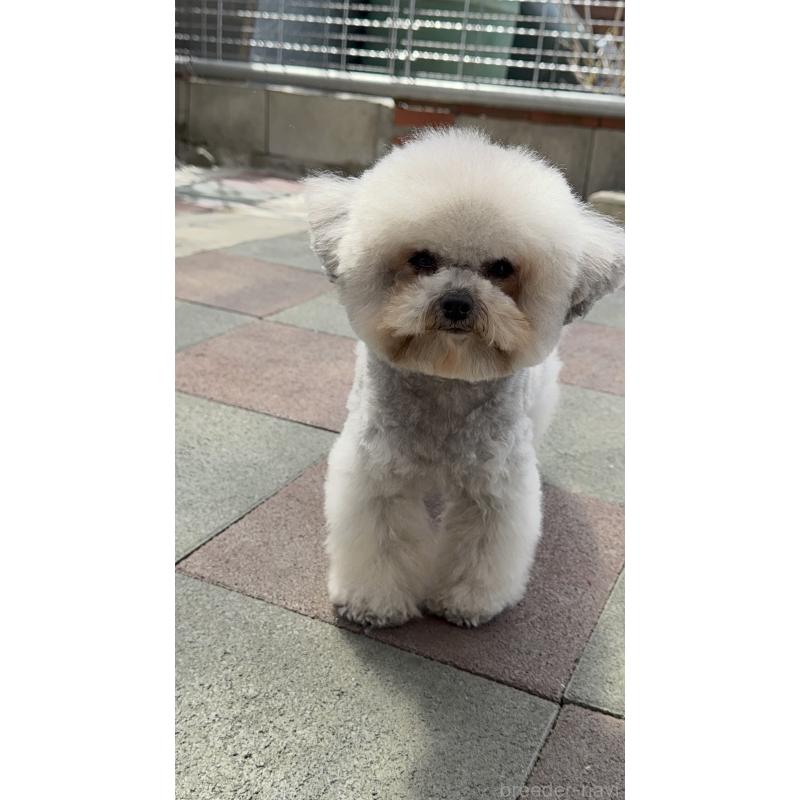 悠悠君くん1枚目