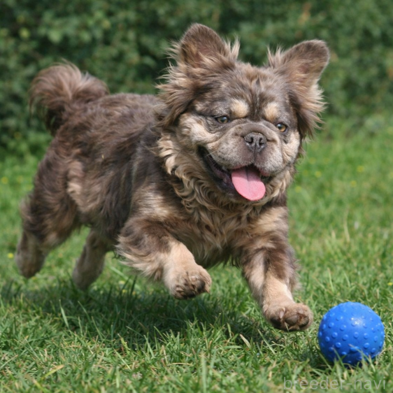 セレナちゃん1枚目