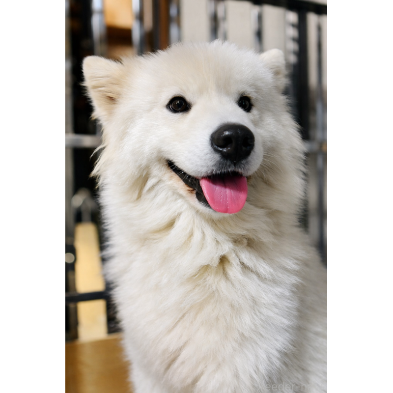 spriteちゃん1枚目