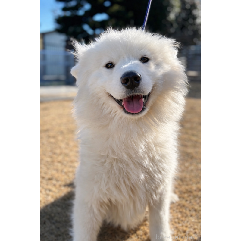 spriteちゃん1枚目