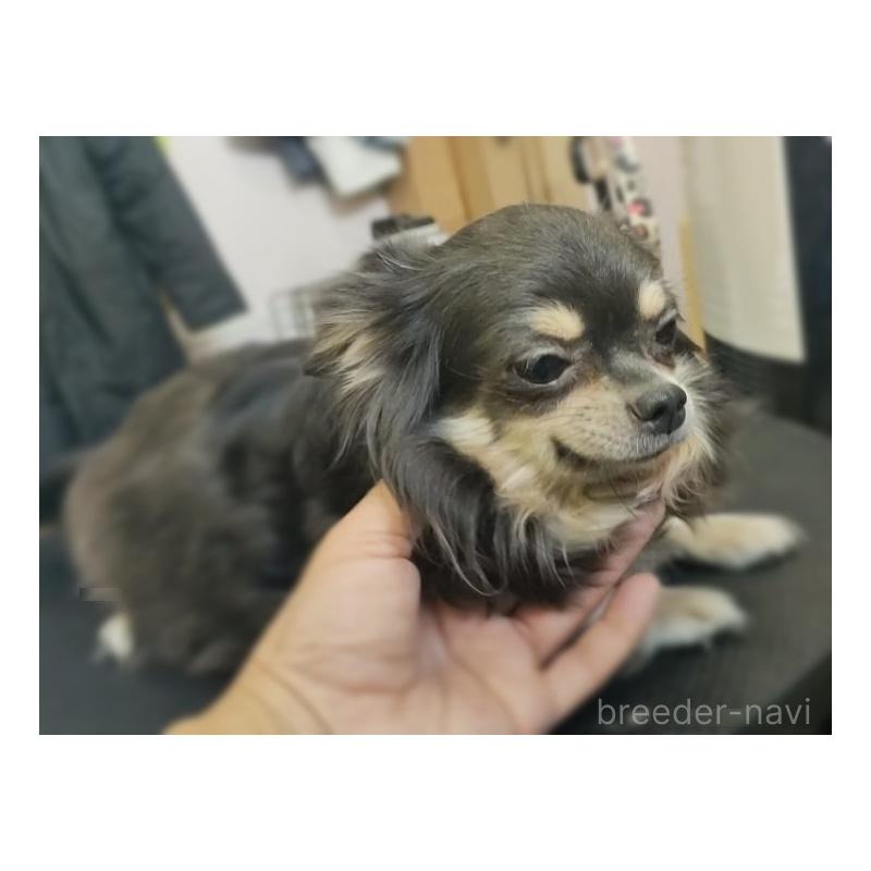 千春ちゃん1枚目