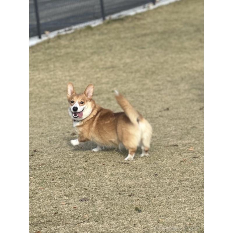 アトラスくん1枚目