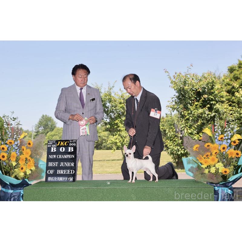 アレンくん1枚目