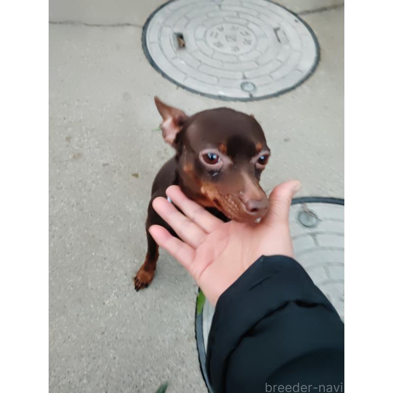 くまちゃんくん1枚目