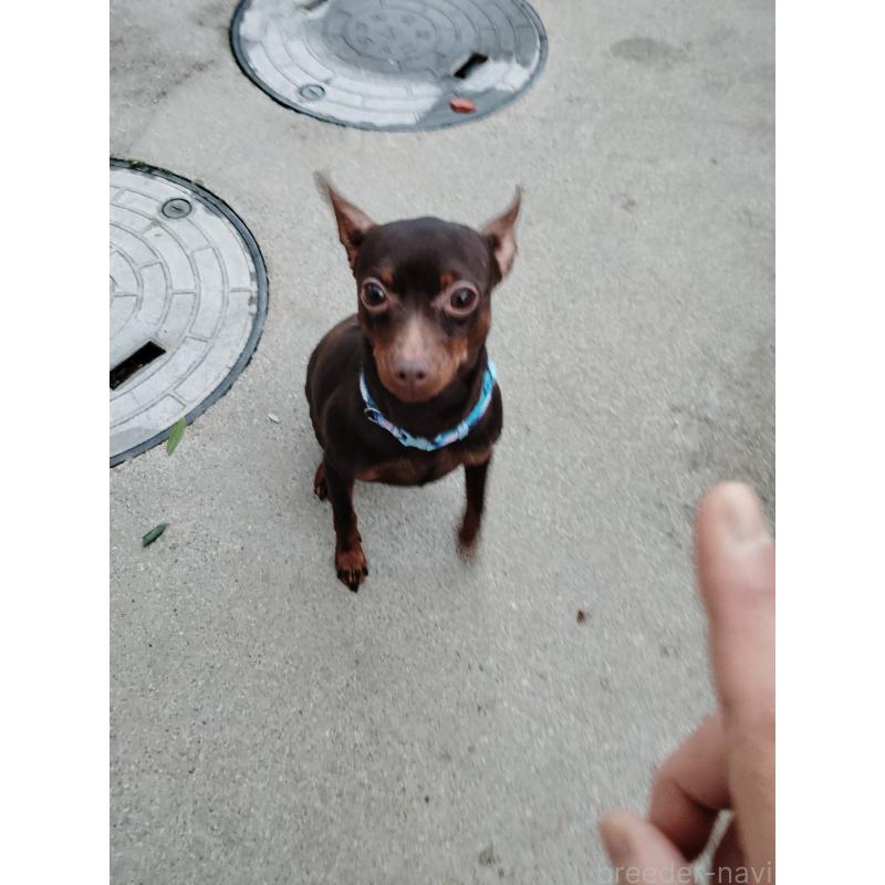 くまちゃんくん1枚目