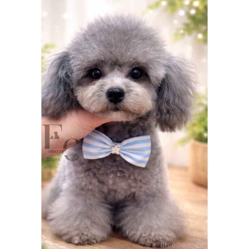 ベアちゃん1枚目