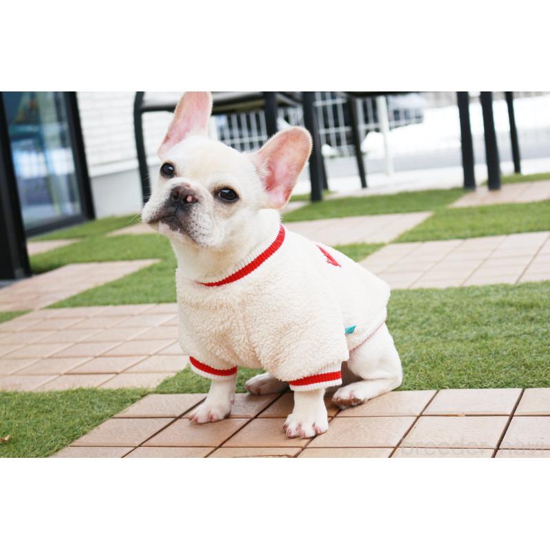 販売中の京都府のフレンチブルドッグ-416402の6枚目