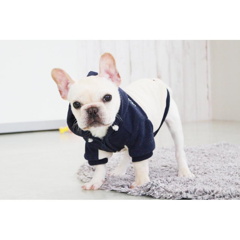 販売中の京都府のフレンチブルドッグ-416400の6枚目