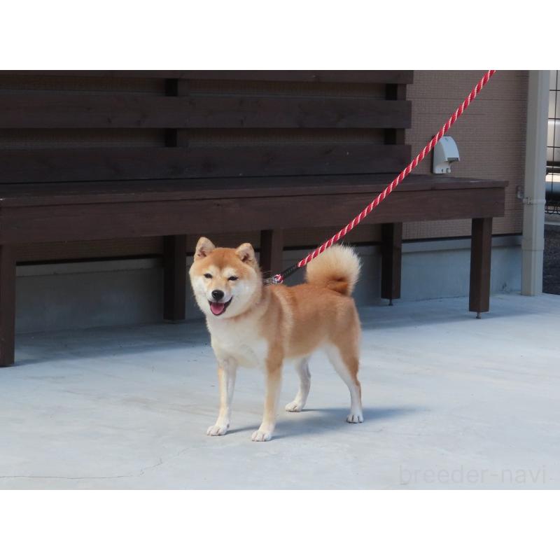 大分乃夢姫ちゃん1枚目